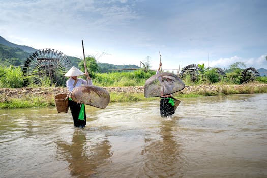 Jak správně zasadit rostliny do jezírka s rybami: Průvodce