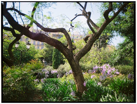 Top Rostliny pro Zdravé a Krásné Zahradní Jezírko